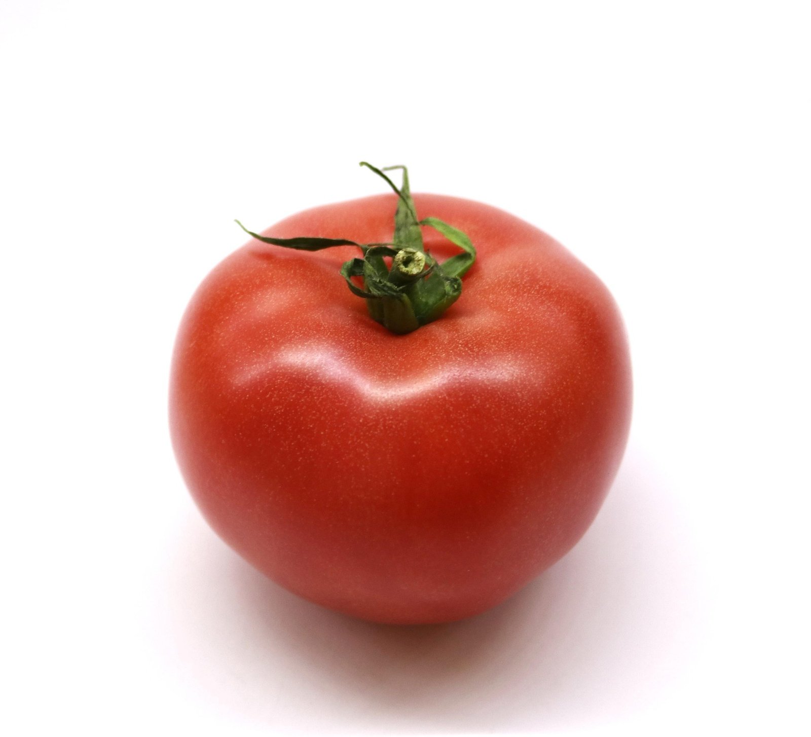 Fresh Tomato